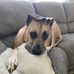 Brian M. Mihelich - Facebook