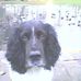 Bryan Milburn - Facebook