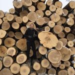 Brian Moeller - @brian_moeller_77 - Instagram