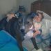 Brian Mogenhan - Facebook