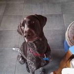 Brian Molloy - @brian.molloy.1023 - Instagram