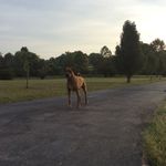 Brian Monteleone - @montelion517 - Instagram