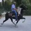 Brian Moon - @brian.moono - TikTok