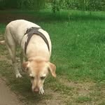 Brian Moorhouse - @brianmoorhouse48 - Instagram