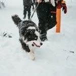 brian mork - @brianmork0102 - Instagram