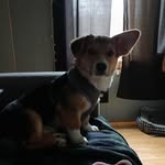 Brian Mosher - @mosher.brian - Instagram