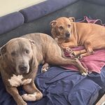 Brian Mott - @bmott1894 - Instagram