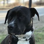 BM - @brian_moxley - Instagram