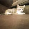 brianmuiruri585 - @brianmuiruri585 - TikTok