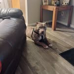 Brian Mumphrey - @mump0413 - Instagram