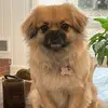Brian Munn - @brian.munn - TikTok