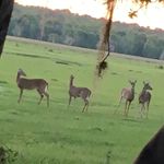 Brian Munk - @brianmunk11 - Instagram