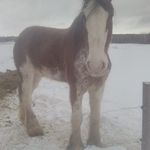 Brian Munroe - @itsmy.life66 - Instagram