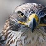 AP Salisbury - @brianmuschlitz - Instagram