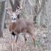 Brian Muschott - Facebook