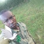 Brian Mussa - @brianmussa1 - Instagram