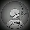 Brian Mussa - @zoned_titan95 - TikTok