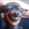brianamustafa - @brianamustafa - TikTok
