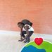 Brayo Master - Facebook