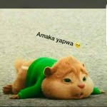 Brian Mwaba Jak - @mwabajak - Instagram