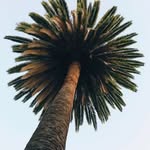 Ashley Gandy - @brianna.gandy.9 - Instagram