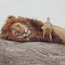 Brian Neitzel - Facebook