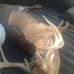 Brian Nickell - Facebook