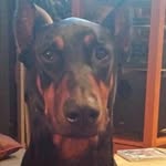 Brian Noell - @brian.noell - Instagram