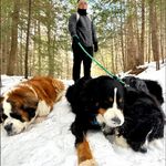 Brian Noonan - @bpnoonan27 - Instagram
