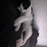 Brian Norcross - @fatedtofail.jpg - Instagram