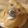 Brian Nordman - @brian.nordman - TikTok