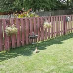 Brian Northrup - Facebook