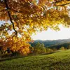 Brian Northrup - @brian.northrup89 - TikTok