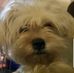Brian Nunn - Facebook