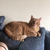 Brianna Clute - @in.freds.name.we.pray - TikTok