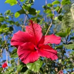 Brian Nuttall - @greenmeadowslandscape_ - Instagram