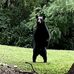 Brian Nyce - Facebook