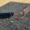Brian Ray Obermeyer - @brianrayobermeyer - TikTok