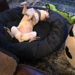 Brian Olmstead - @olmsteadbrian - Instagram