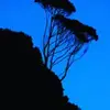 brian.olmstead - @brian.olmstead - TikTok