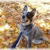Brian Olthoff - Facebook