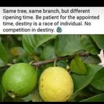 @brianonkendi2022 - Instagram