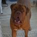 Brian David Orndorff - Facebook