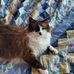 Brian Osburn - Facebook