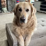 Brian Lisa Osgood - @brianlisaosgood - Instagram