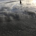 Brian Osgood - @bozsnap - Instagram