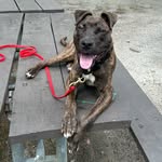 Brian - @its_just_brian_and_otto - Instagram
