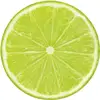 Brian Otto - @brianotto2865 - TikTok