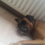 Brian Otto - @brian.otto.7393 - Instagram