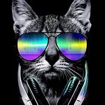 Brian Padron - @brianpadron3 - Instagram
